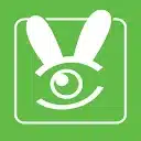 Rabbits Cams